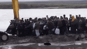 ac625726848584158da3863a510e48d39458.gif ac625726848584158da3863a510e48d39458.gif